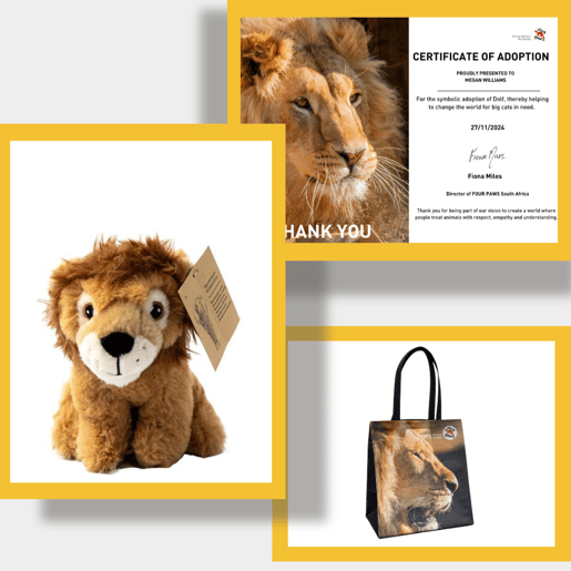 Gifts you will receive when you adopt Dolf