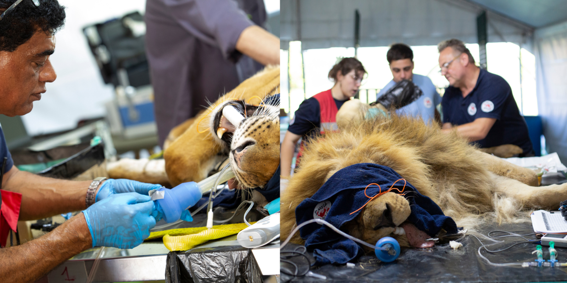 Argentina Donation Update