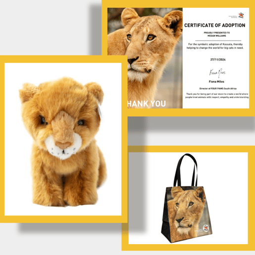 Gifts you will receive when you adopt Kassala