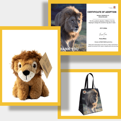 Gifts you will receive when you adopt lion Nikola