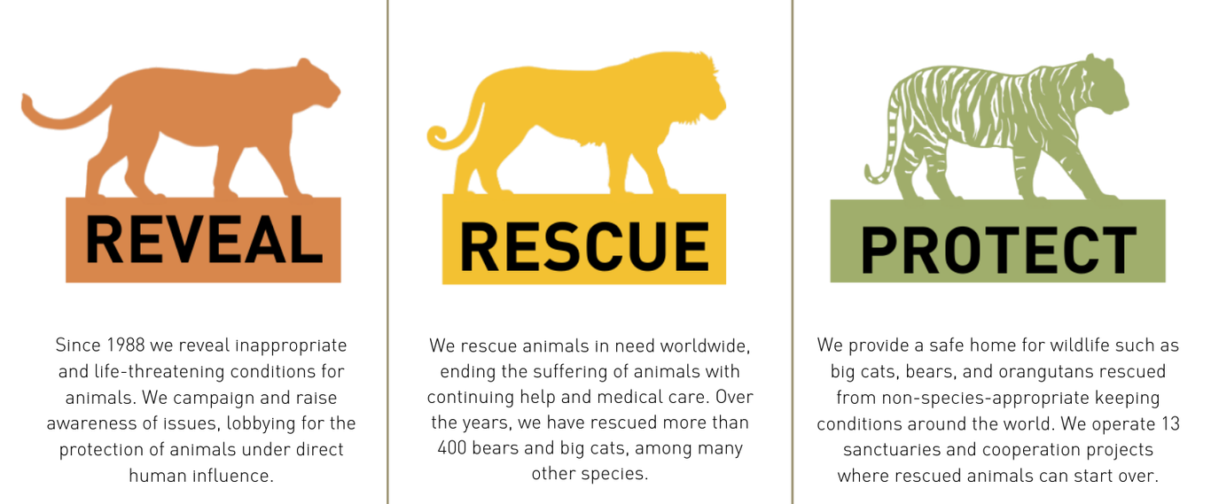 Reveal Rescue Protect (Website Image) Cropped