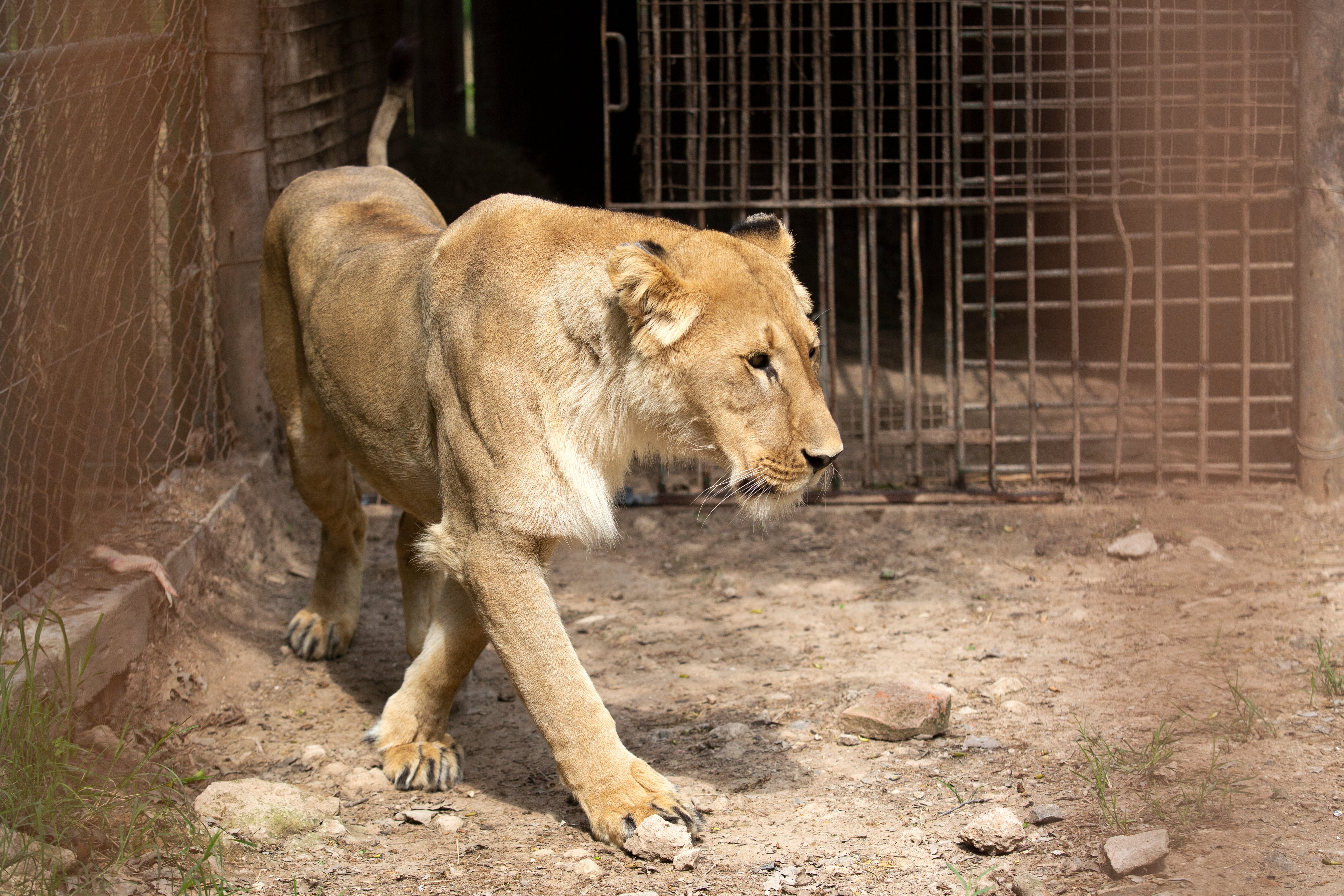 Emergency Mission in Argentina