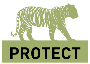pP_Protect-2