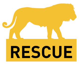 pP_Rescue-2