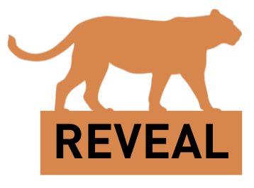 pP_Reveal-1