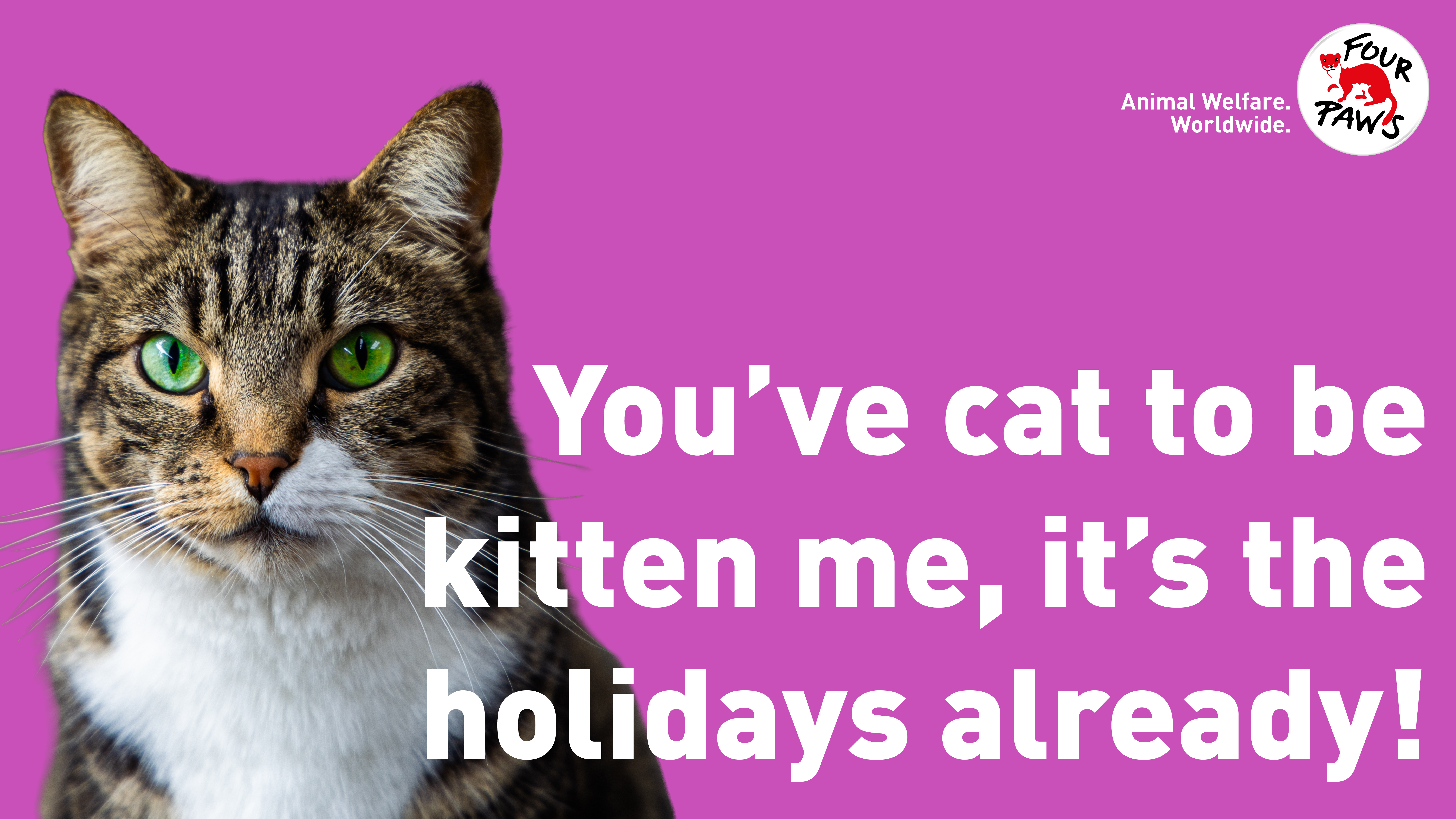 digi_card_cattobekitten