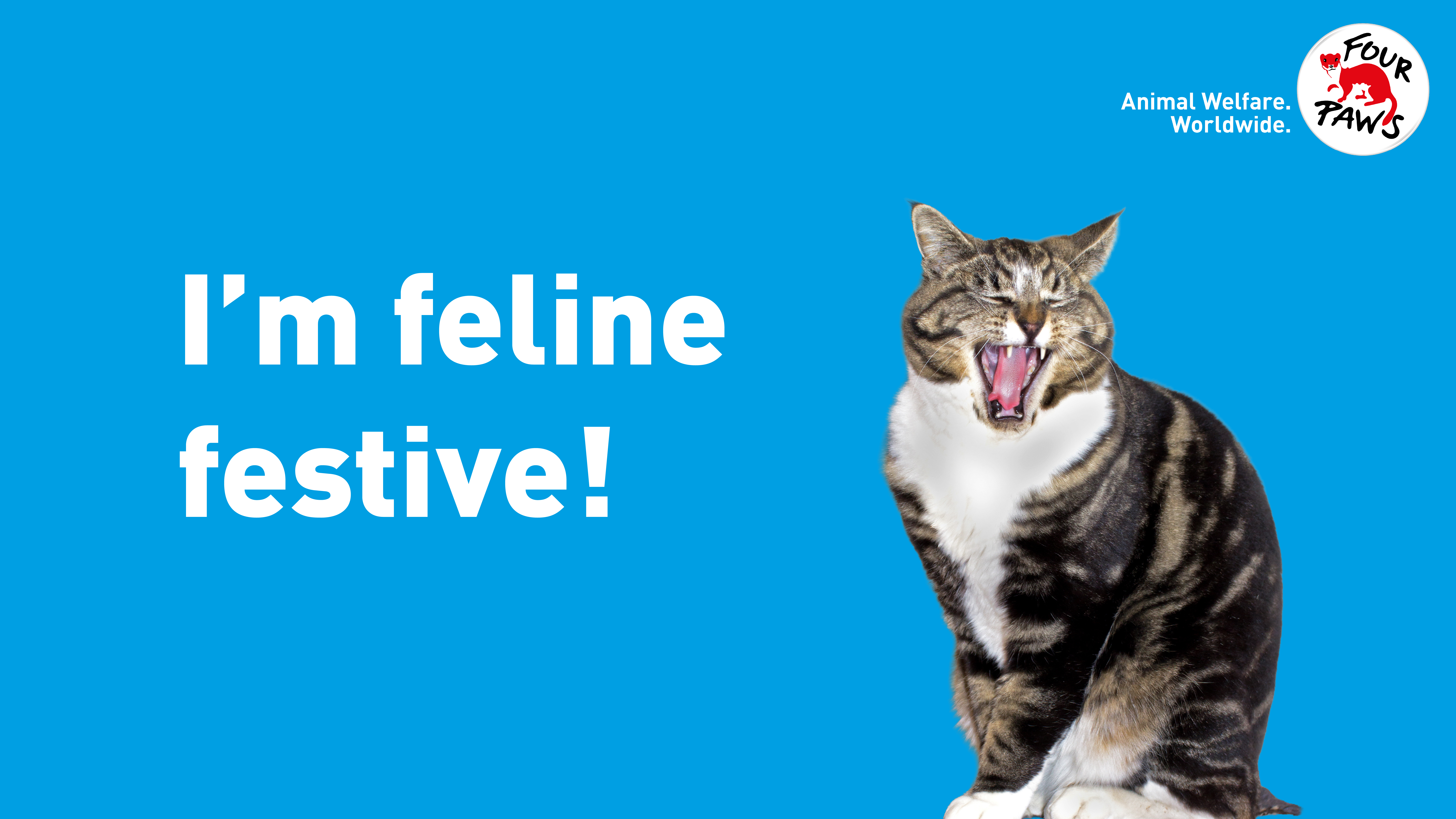 digi_card_felinefestive