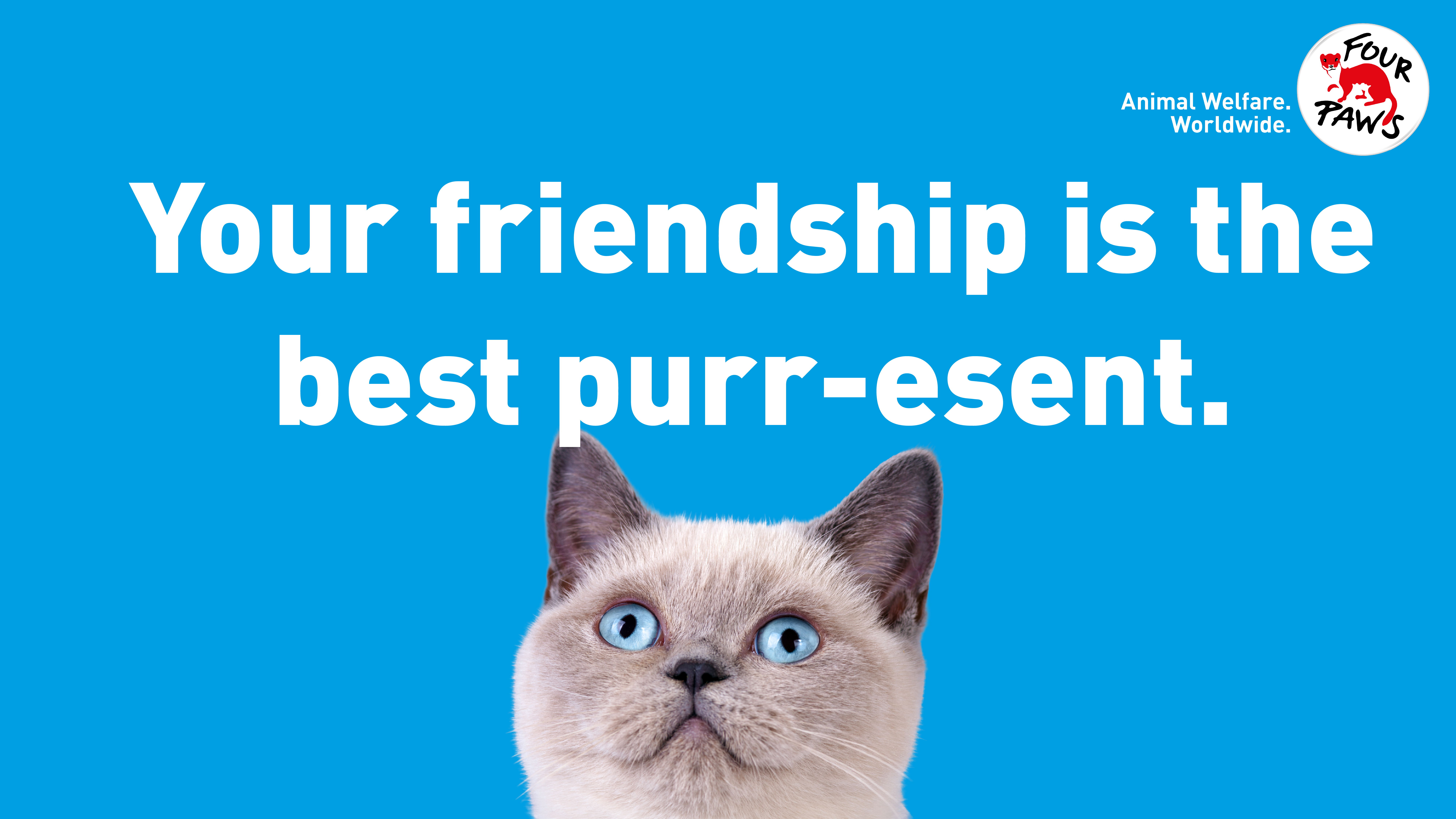 digi_card_friendship