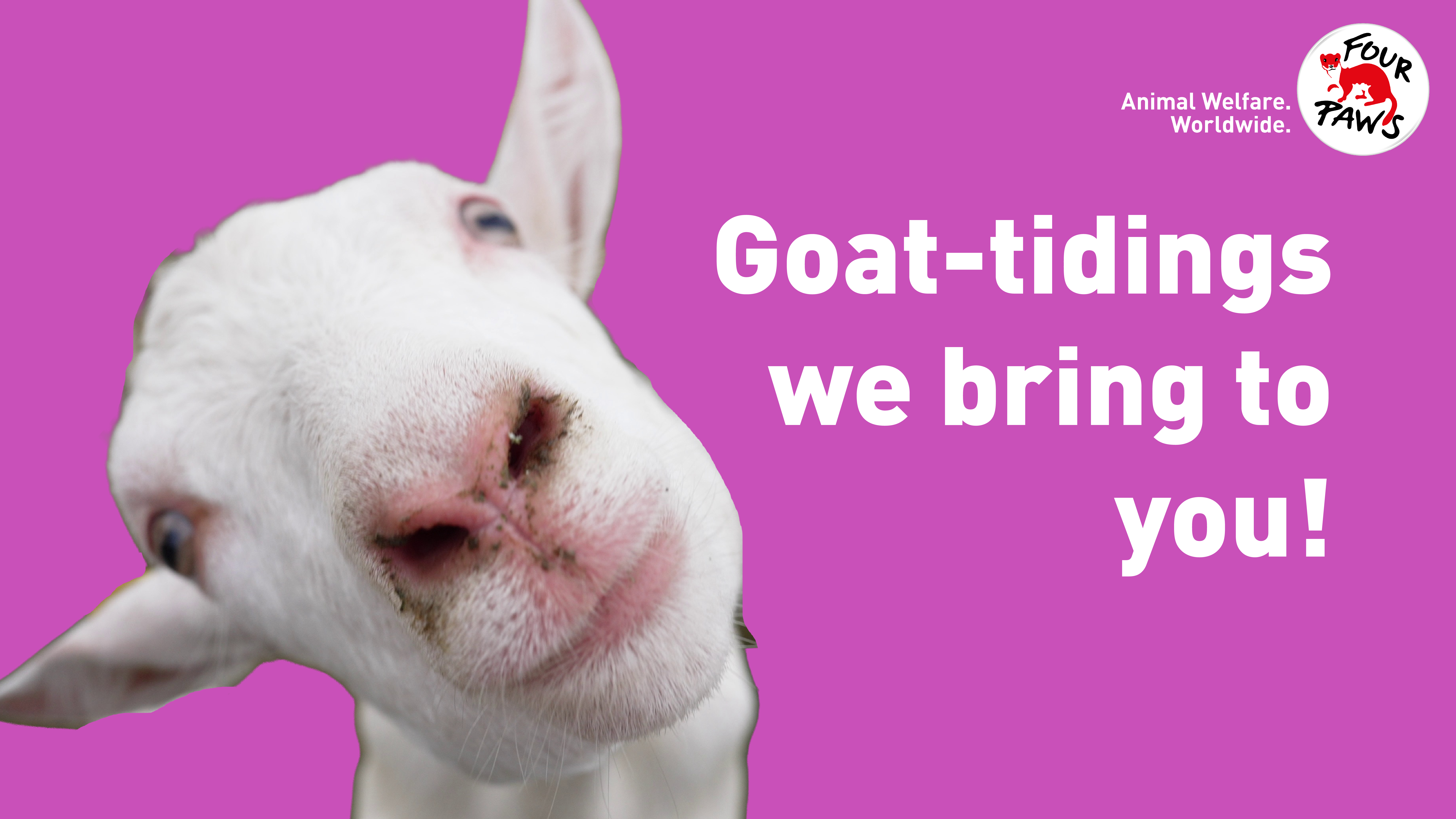 digi_card_goat_tidings