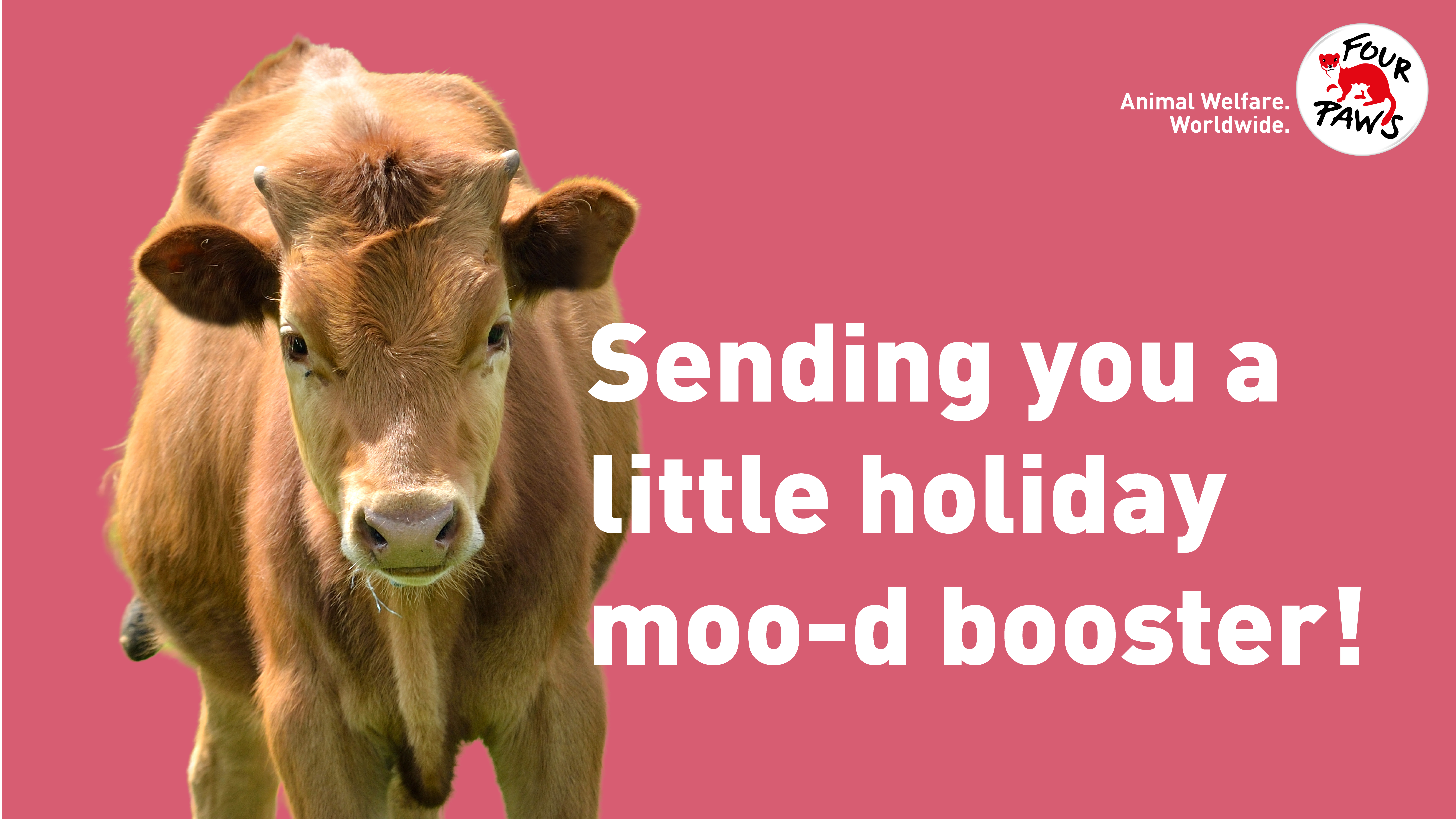 digi_card_moodbooster