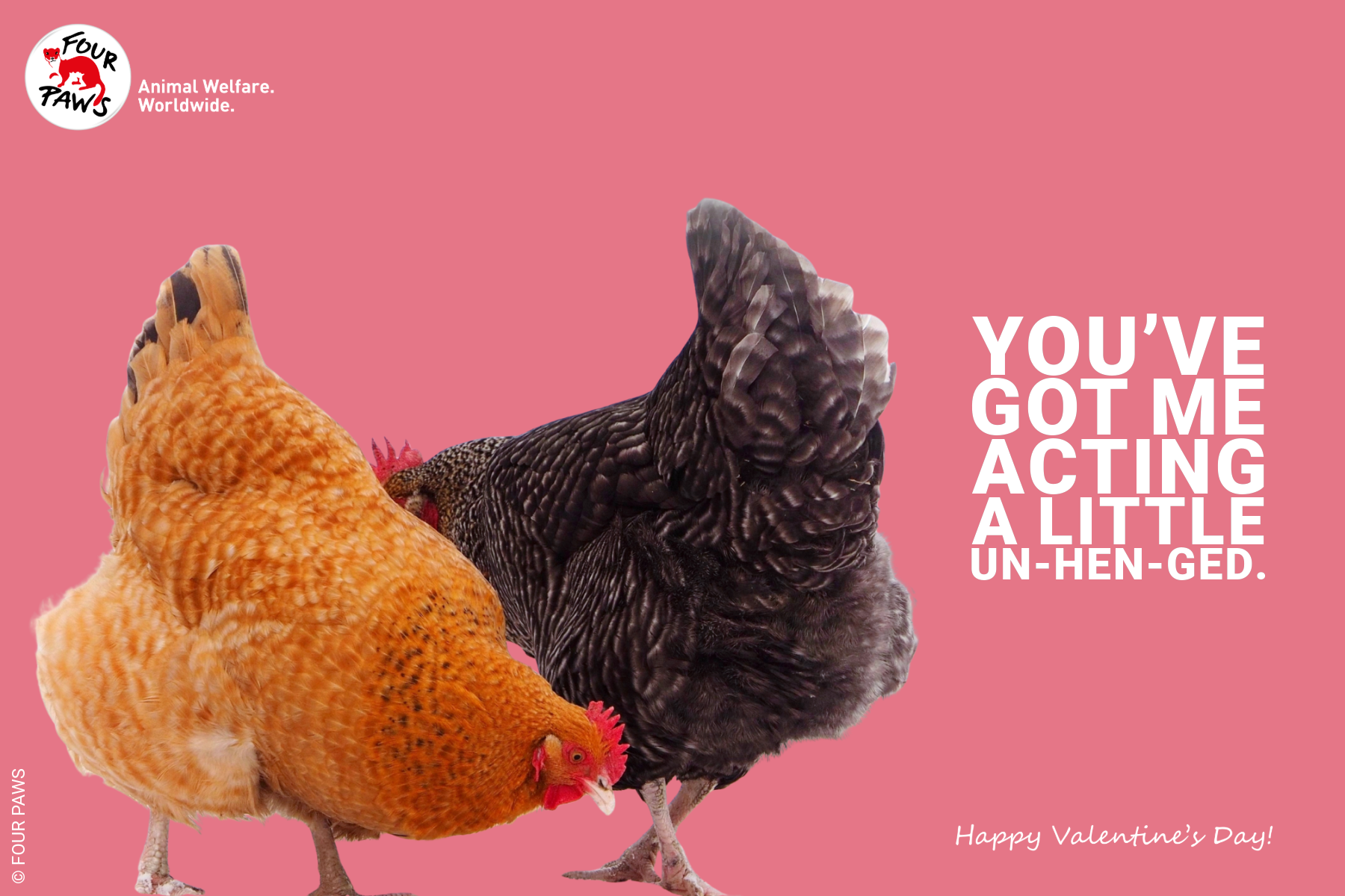 VDAY 2026 HORIZONTAL-13