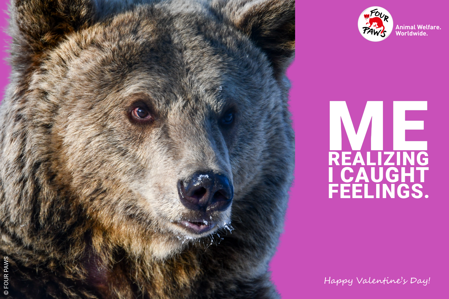 VDAY 2026 HORIZONTAL-15