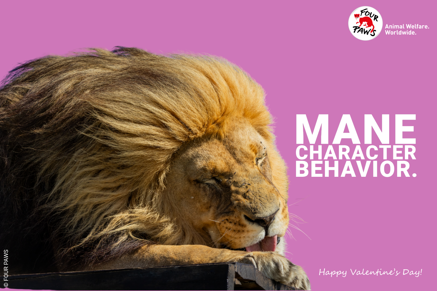 VDAY 2026 HORIZONTAL-20