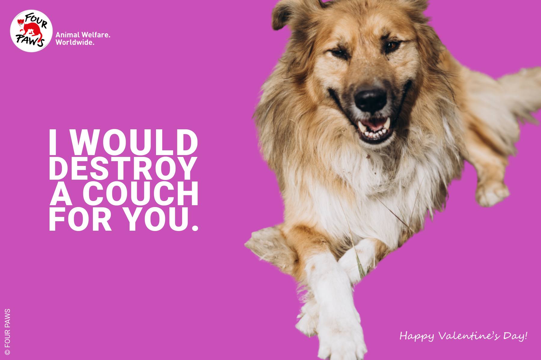 VDAY 2026 HORIZONTAL-22