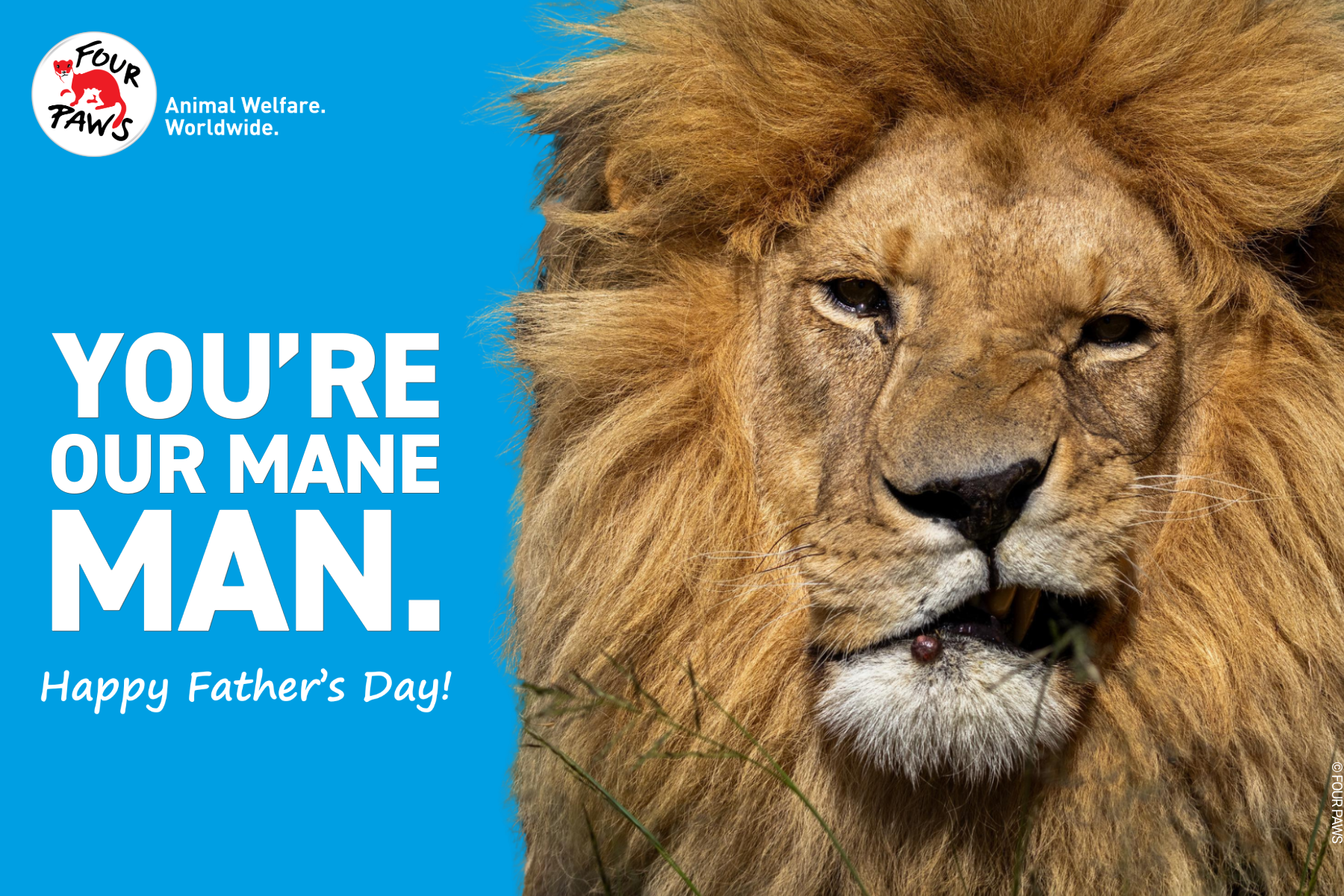 fday 20255-9-mane-man