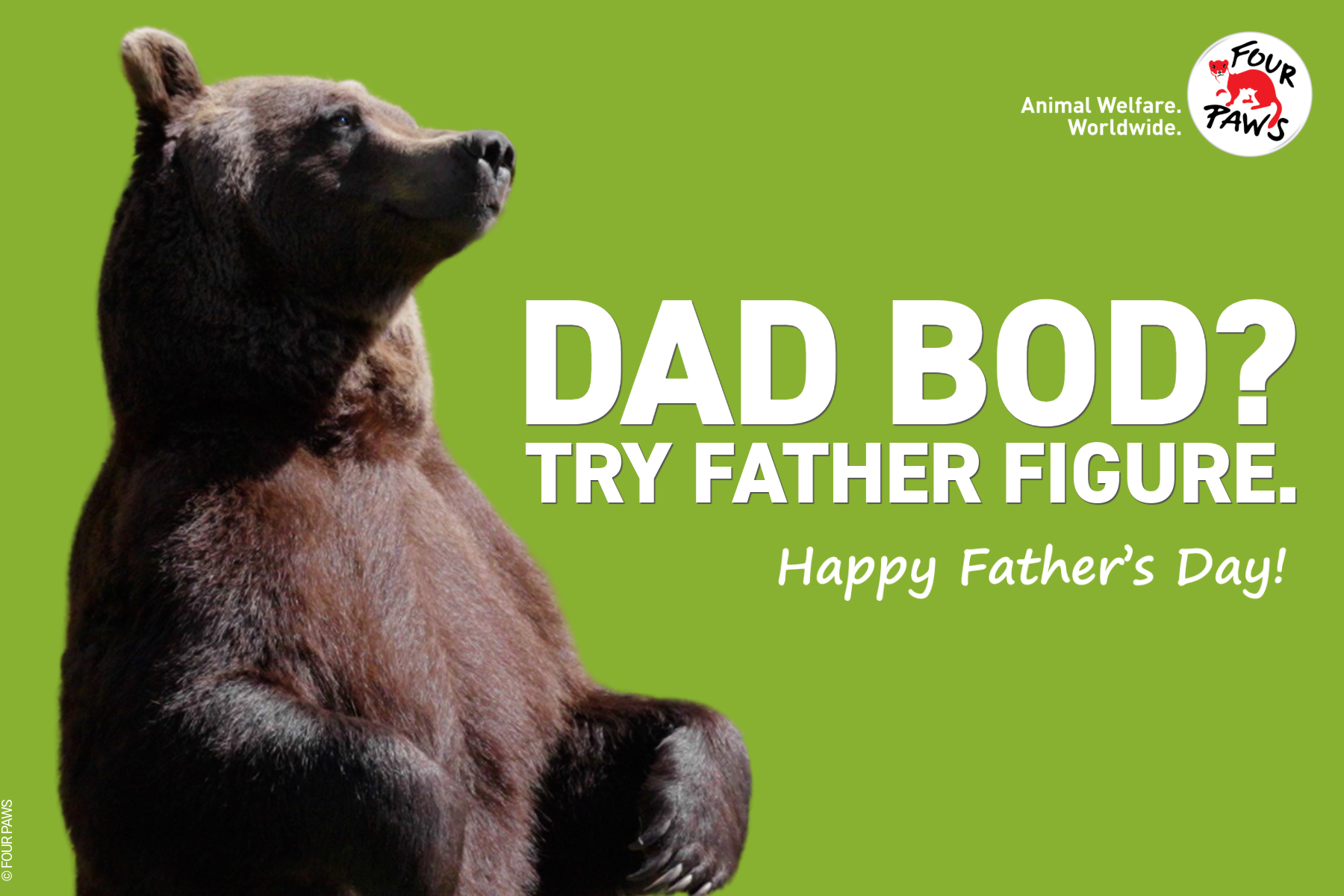 fday 2026-4-dad bod