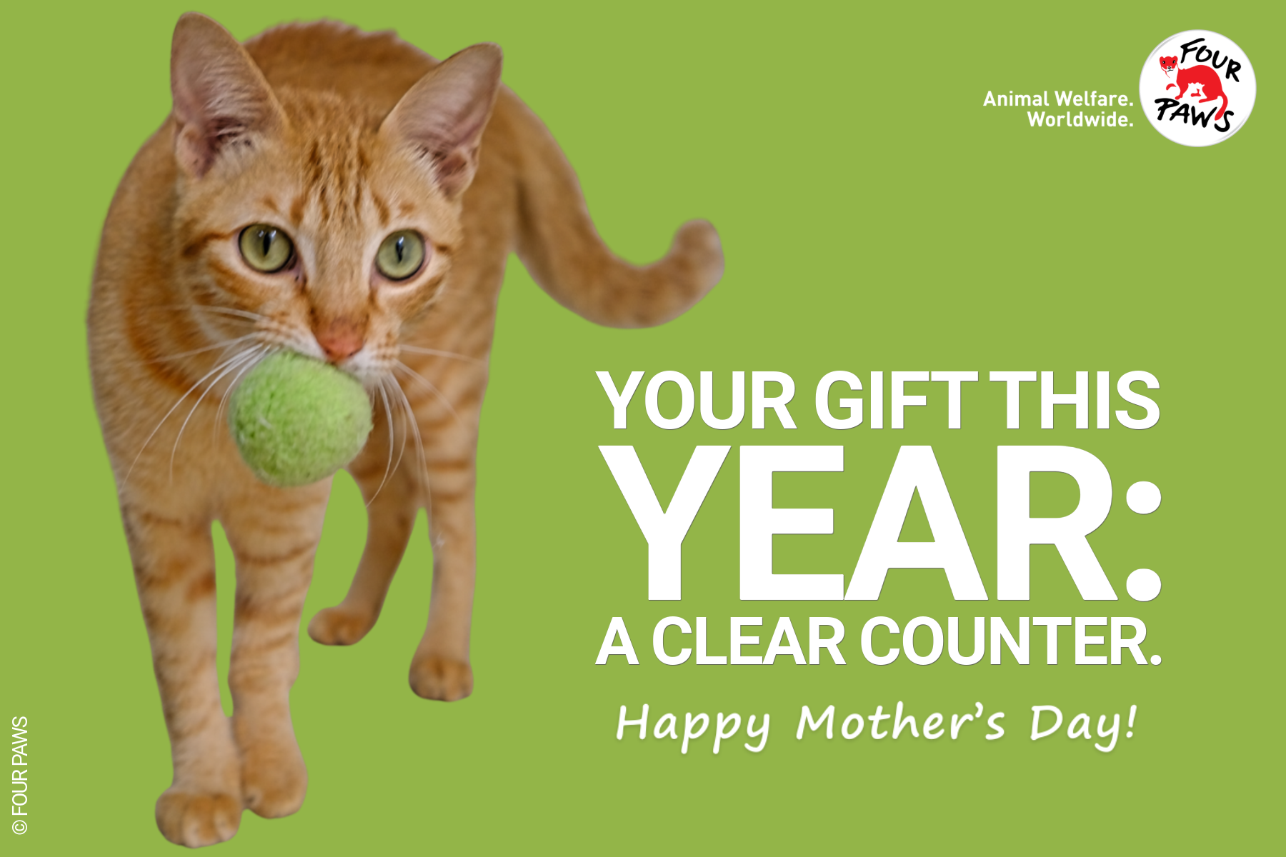 mothers day_catyear