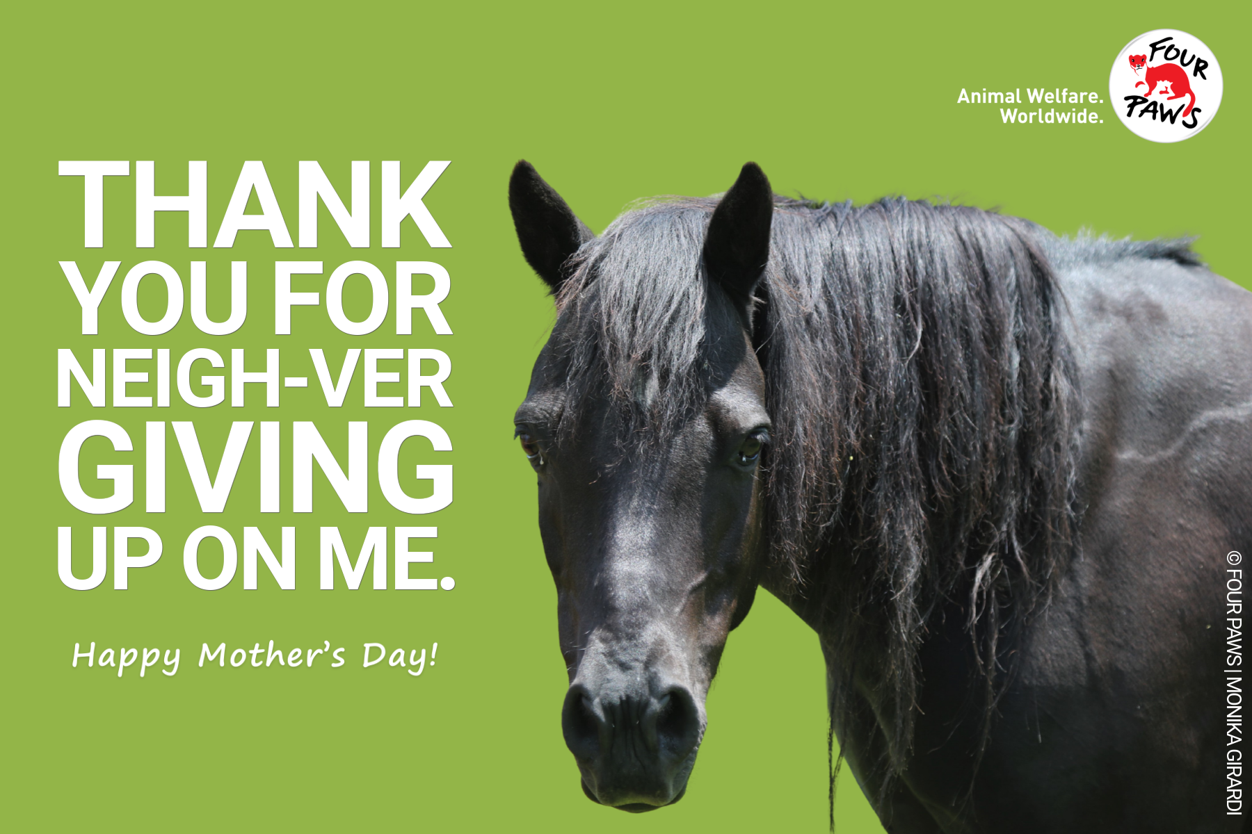 mothers day_horse