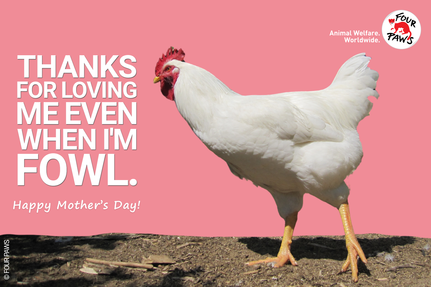 mothers day_hen