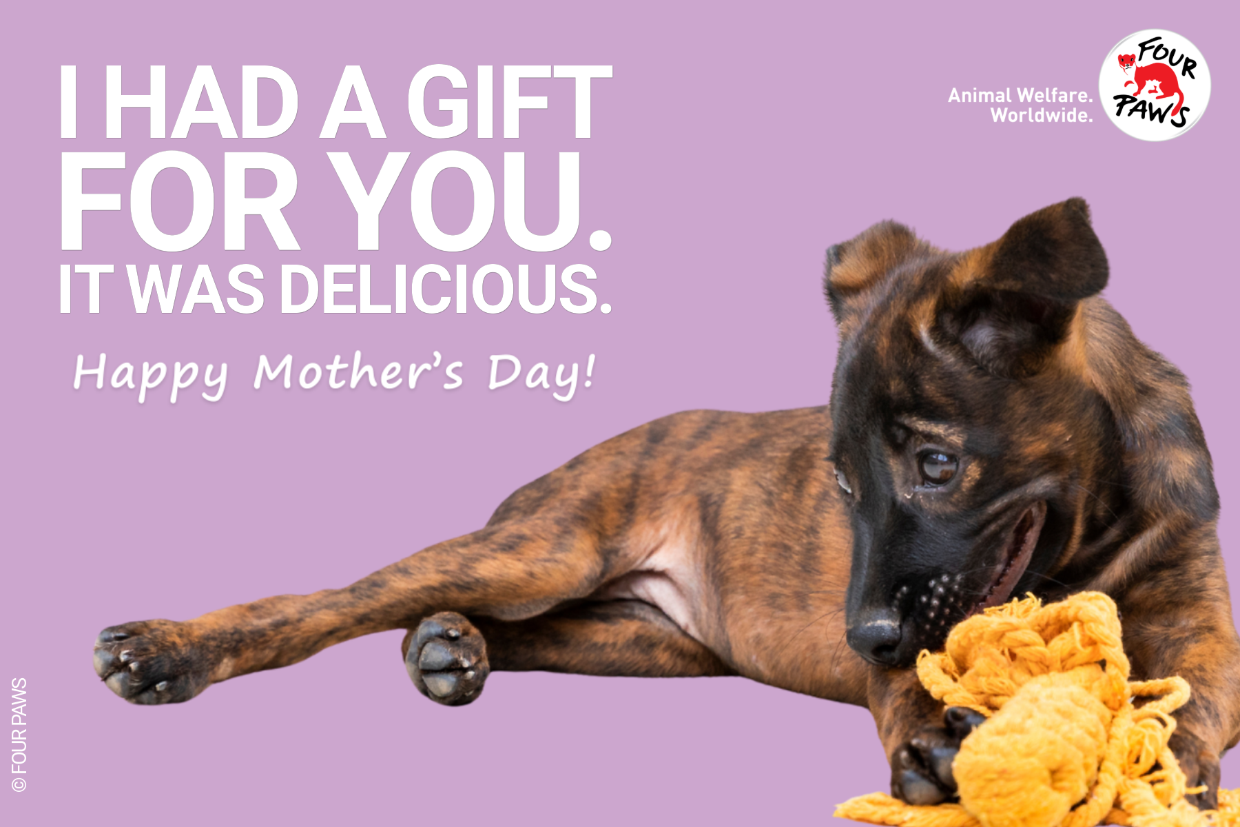 mothers day_pupgift
