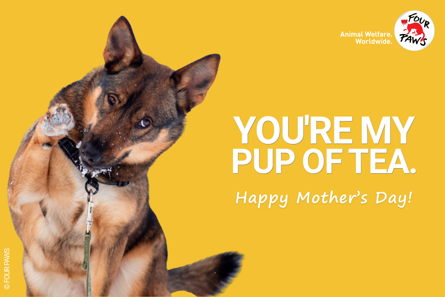 mothers day_pupoftea