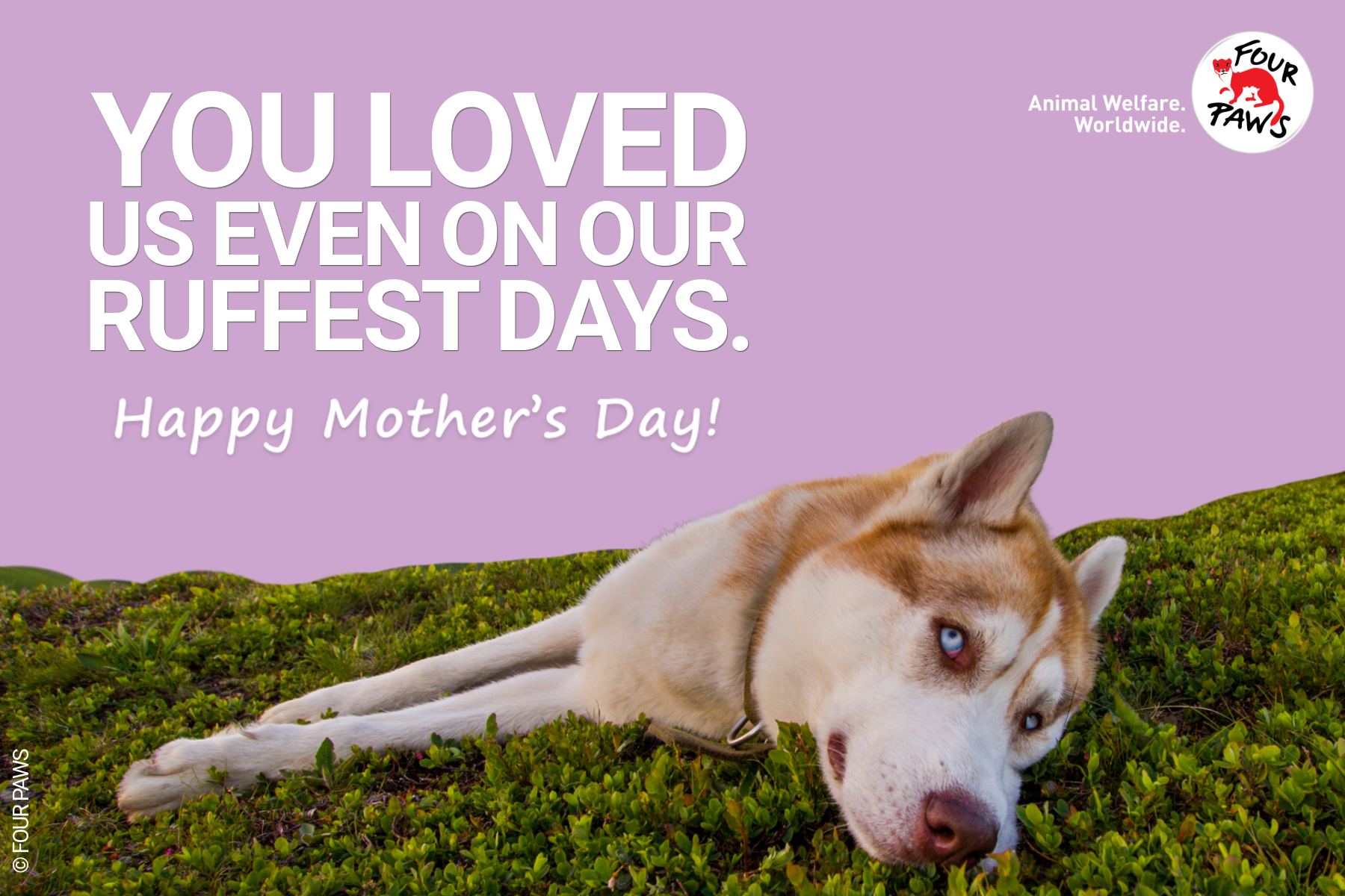 mothers day_ruffest day