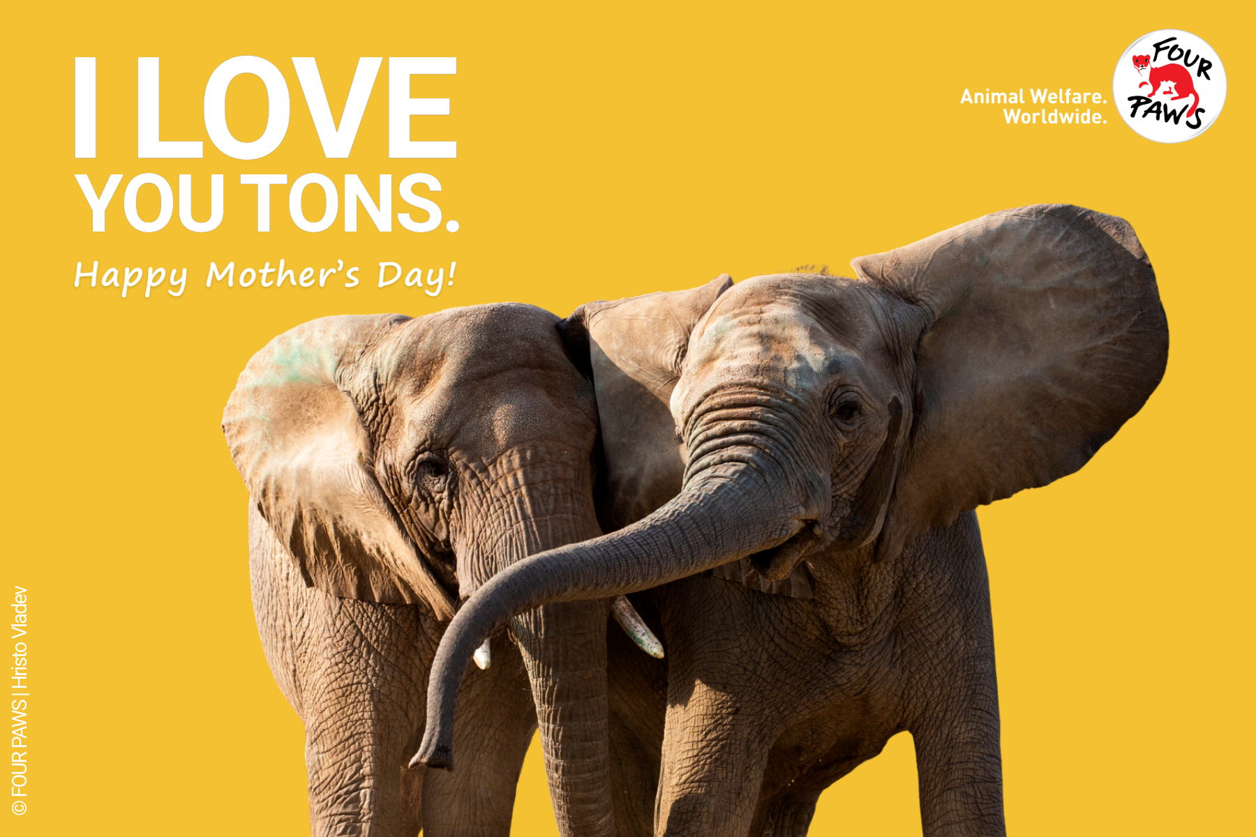 mothers day_tons